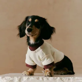 Layered Look Dog Pullover Layered Look Dog Pullover