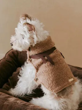 Luxe Lamb Wool Dog Winter Vest Luxe Lamb Wool Dog Winter Vest